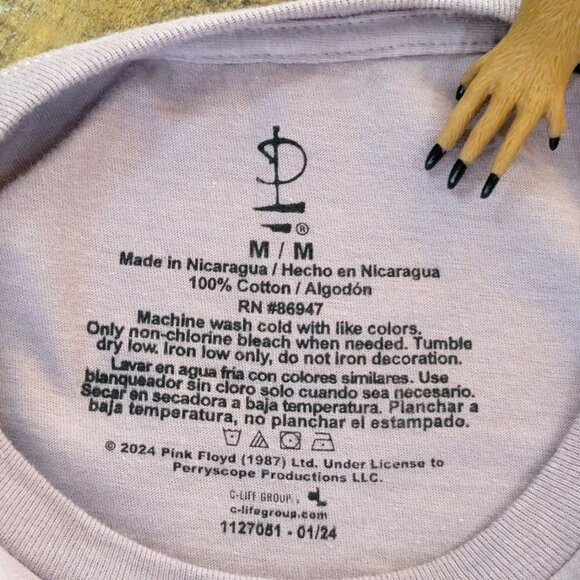 Pink Floyd Distressed NWOT Dusty Grey Mauve Sun Design Tee Shirt - Medium - Picture 3 of 8